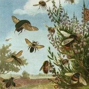 Meet your Posher, Roxann